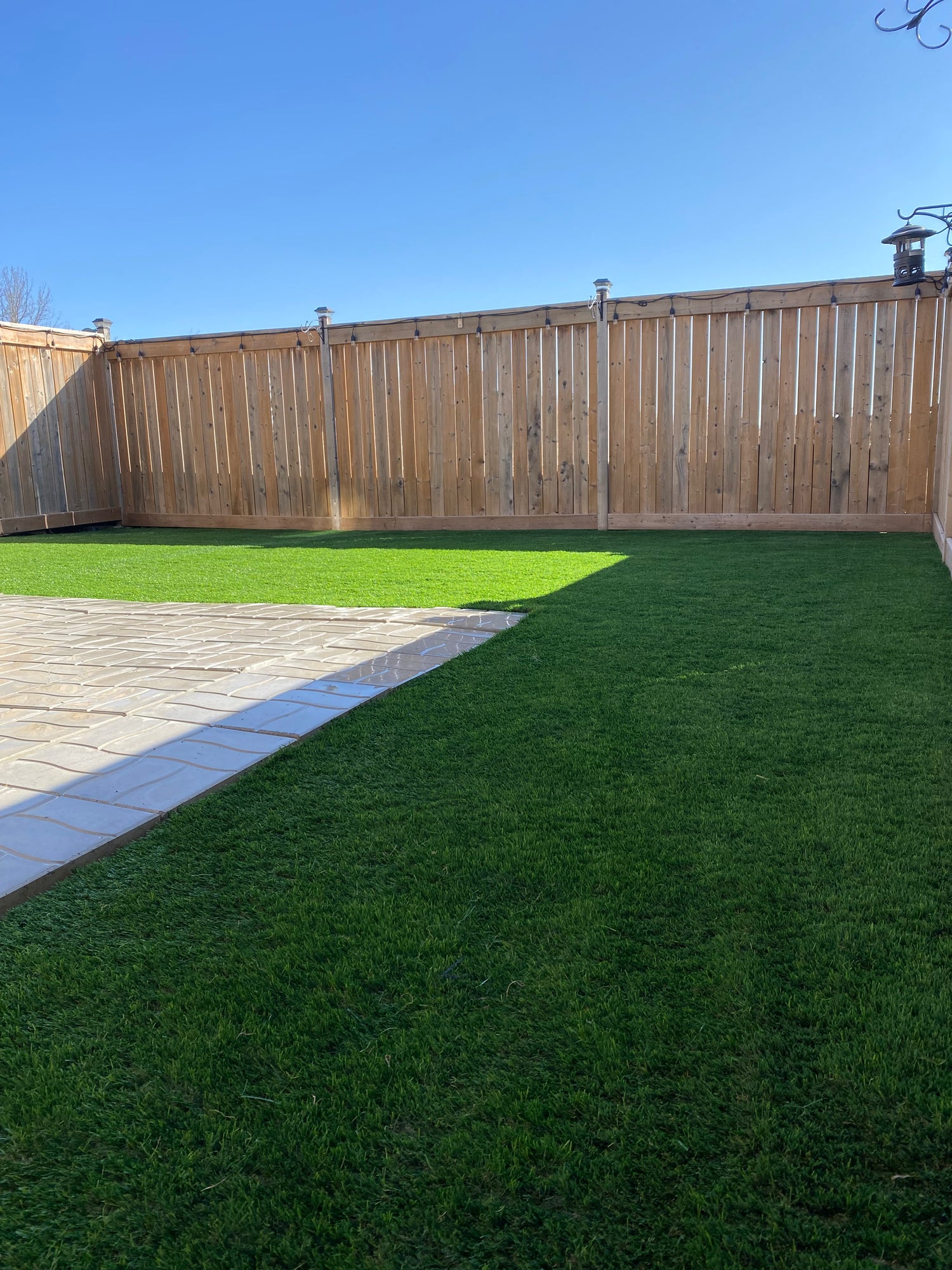 Artificial grass