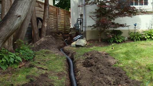 The Importance of Proper Yard Drainage