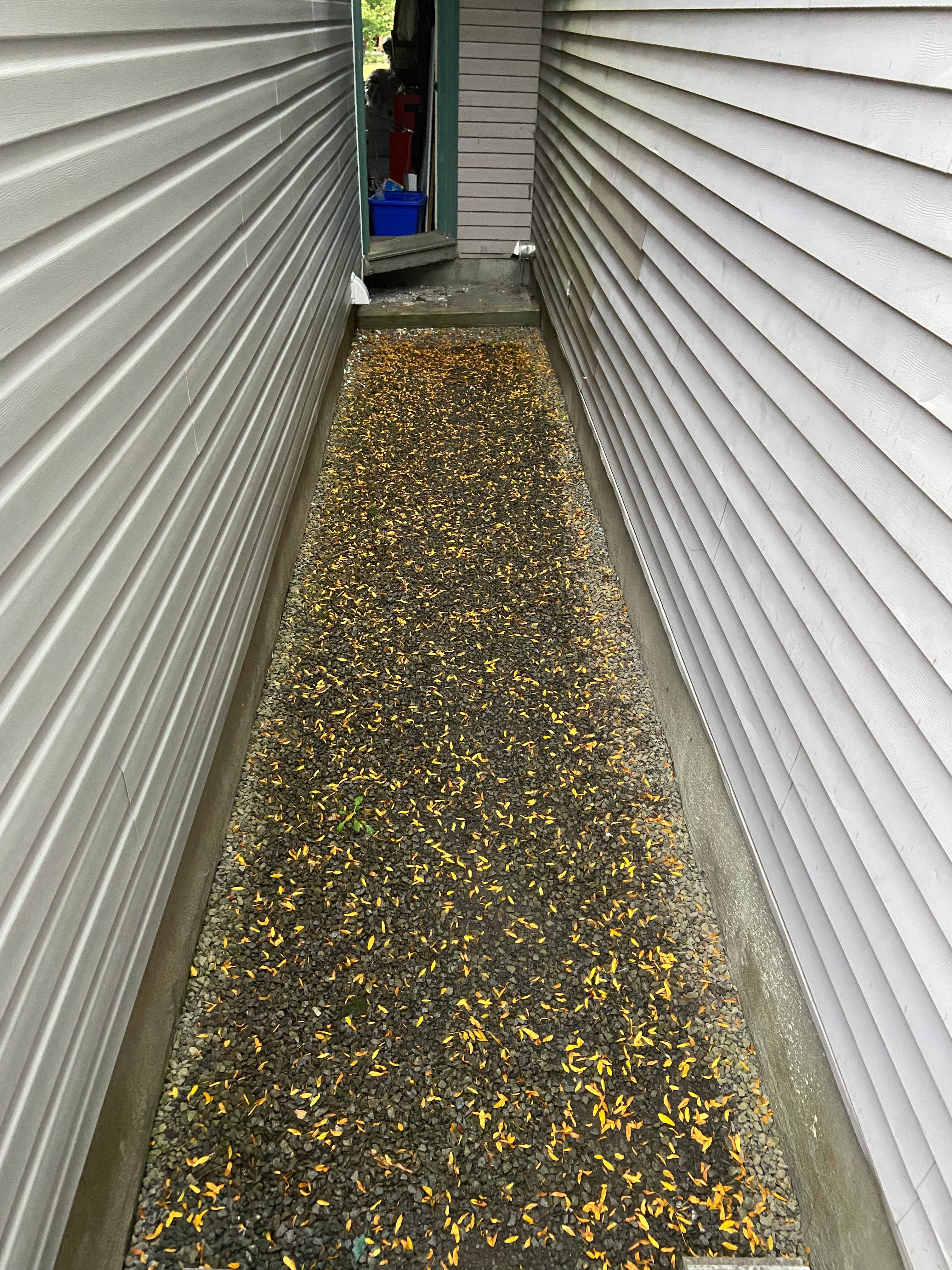 Empty and messy walkway