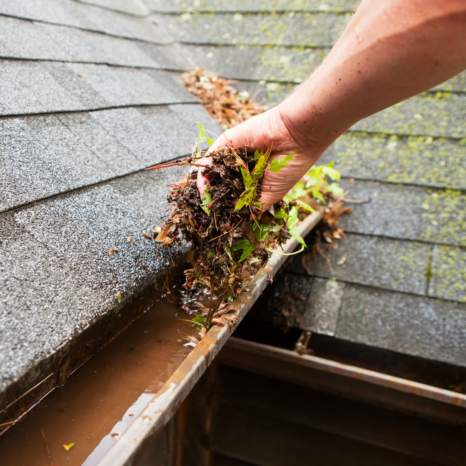 cleaning gutters