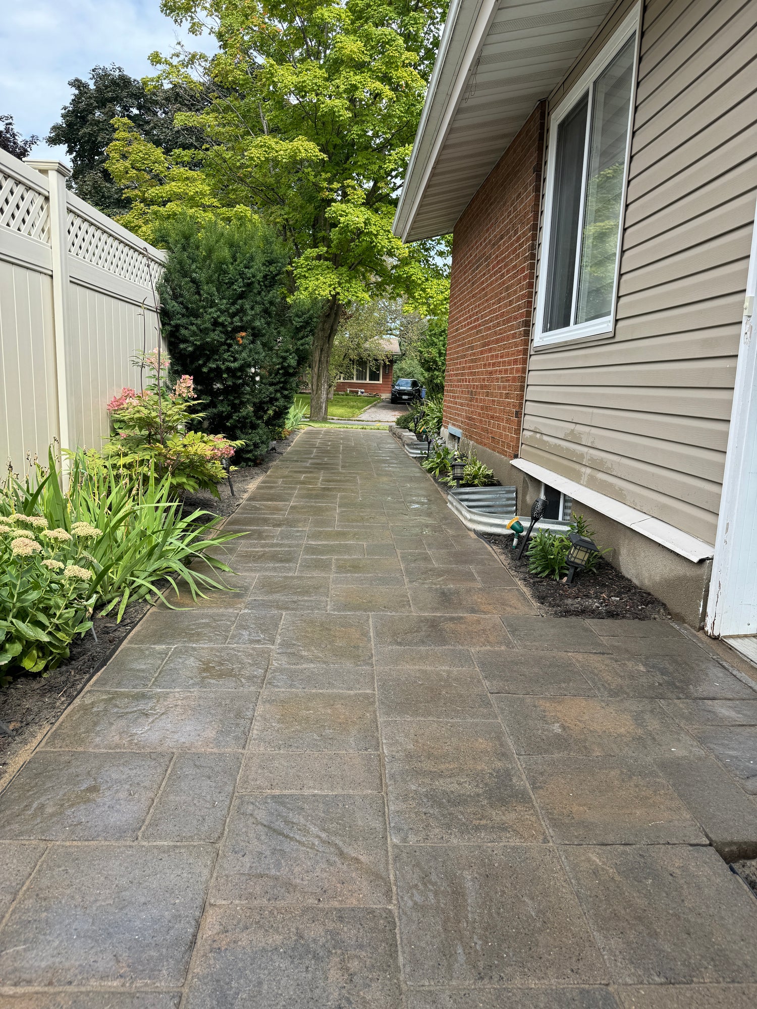 Beautiful pathway with flowers